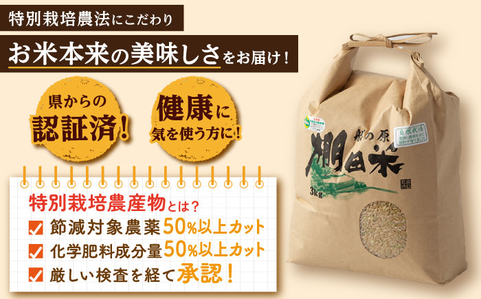 【自然農法で育てた特別栽培米】令和5年産 ヒノヒカリ 玄米 9kg（3kg×3袋）/永尾 忠則 [UAS007] 棚田米 棚田玄米 米 お米