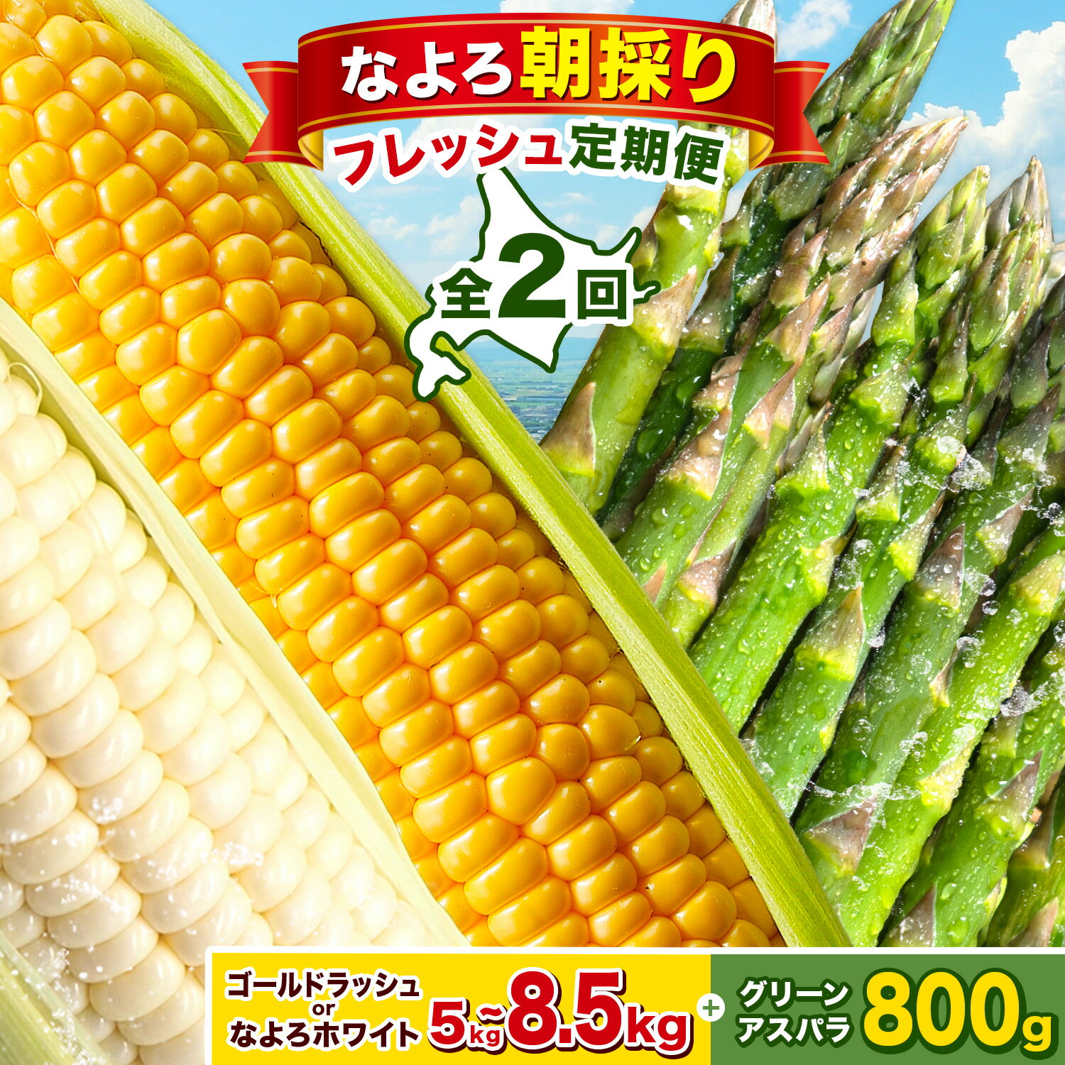 【ふるさと納税】なよろ朝採り フレッシュ定期便 全2回 《2026年8月上旬-2027年5月下旬頃出荷》北海道 名寄市 名寄市産 旬のとうもろこし 夏限定 ゴールドラッシュ なよろホワイト グリーンアスパラ 野菜 コーン 北海道産 季節限定 夏野菜 お取り寄せ 楽天スーパーSALE