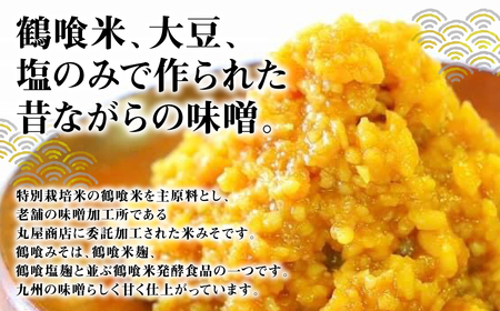 鶴喰みそ 3kg (1kg×3袋 合計3kg) 熊本県 八代市産 つるばみ 味噌 米味噌 米みそ
