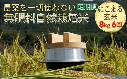 米 定期便 令和7年産 自然栽培米 にこまる ＜農薬を一切使わない無肥料栽培＞ 玄米 8kg×6ヶ月 48kg 《新米 京都丹波産 無農薬米栽培向き 厳選品種 6回お届け》