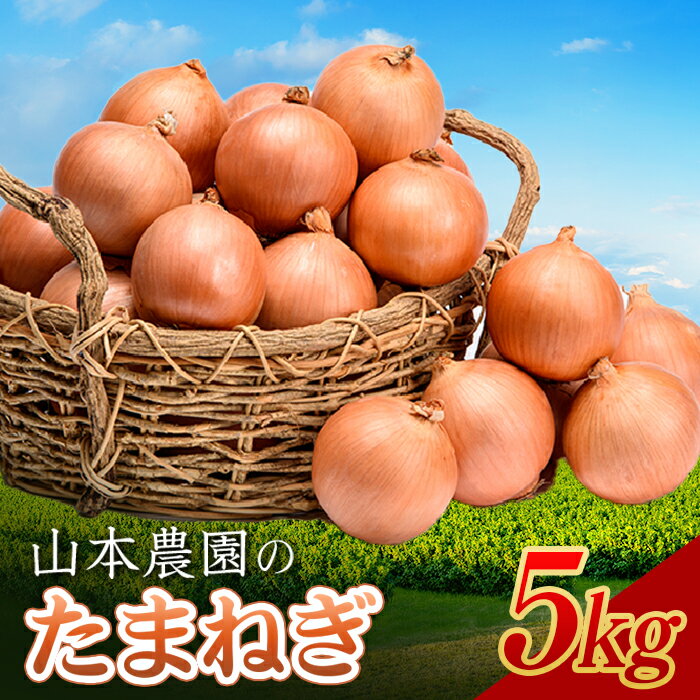 【ふるさと納税】北海道産 「山本農園のたまねぎ」L〜L大サイズ前後 5kg 南幌町産 玉ねぎ タマネギ 玉葱 NP1-161