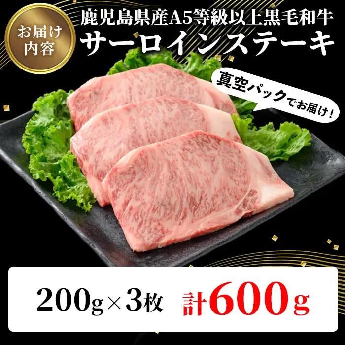 鹿児島県産 A5等級以上 黒毛和牛 霜降り サーロイン ステーキ 計600g(200g×3枚)  牛肉 【ビーフ倉薗】C42