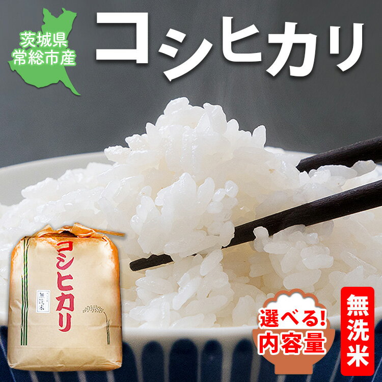 【ふるさと納税】＼選べる内容量／【令和7年産】【無洗米】コシヒカリ 茨城県常総市産 精米｜米 お米 白米 ご飯 コメ こめ こしひかり お中元 お歳暮 内祝い 快気祝い ※2025年10月上旬～2026年6月下旬頃に順次発送予定