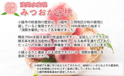 浅間水蜜桃 みつおかのもも なつっこ  秀品 約5kg 長野県産