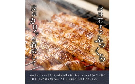 名店の味 宮崎県産うなぎ蒲焼 「満喫セット」(蒲焼き2尾/骨の唐揚げ/肝焼/蒲焼きのタレ・粉山椒) 国産 鰻 蒲焼き [G8408]