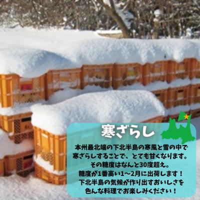 ふるさと納税 むつ市 スーパーフード 糖度30度あま〜いアピオス(生)450g |  | 02