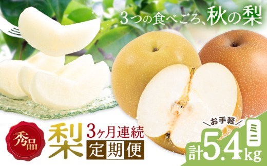 【3ヶ月定期便】梨 定期便 秀品 3ヶ月連続 梨の定期便 ミニ 計5.4kg 日本フルーツ株式会社《8月上旬-10月末頃出荷》熊本県 長洲町 なし ナシ 豊水梨 秋月梨 新高梨 果物 フルーツ