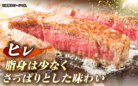 【全3回定期便】長崎和牛 サーロイン ヒレ ステーキセット 各2枚 《壱岐市》【KRAZY MEAT】 A5 A4 冷凍 和牛 肉 牛肉 BBQ 詰め合わせ 贈り物[JER137]