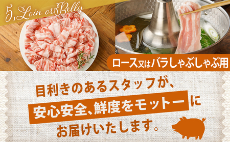 宮崎県産豚肉3.2kgセット_16-M601_(都城市) 宮崎県産豚肉 3.2kgセット 切り落とし ロースカツ用 ロース又は肩ローススライス バラ焼肉用 ロース又はバラしゃぶしゃぶ用