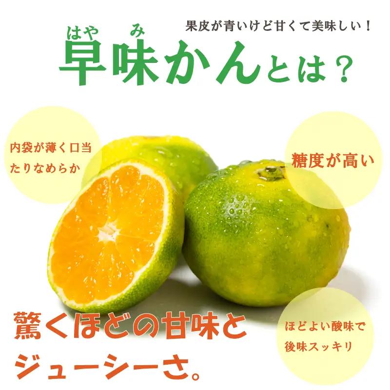 福岡県産 早味かん M・Sサイズ 約4kg以上(40玉-50玉入り)｜みかん 早味かん KBY