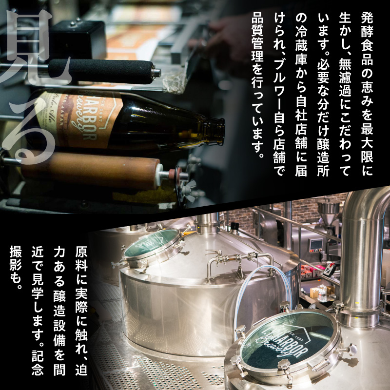 美味しいビールを「知る！」「体験する！」　T.Y.HARBOR Brewery クラフトビールを知る 見学体験＆お土産セット【10月第二土曜日16時】