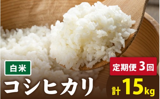 【先行予約】【3ヶ月連続お届け】【 令和8年産 新米 】 有機JAS認証 オーガニックコシヒカリ 白米 5kg×1袋×3ヶ月（計15kg）【2026年10月より発送開始】