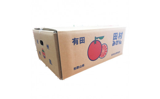 【ご家庭用訳あり】田村みかん　5kg　※2026年11月下旬～2027年1月下旬頃に順次発送予定【uot754A】