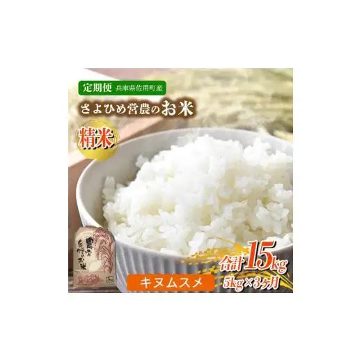 【3ヵ月定期便】兵庫県佐用町産 お米 5kg×3ヵ月 (計15kg) 精米 キヌムスメ