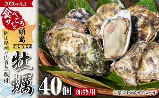 【2026年発送！】日生頭島殻付牡蠣「海の恵」食べごろサイズ40個【生鮮 牡蠣 日生産 ひなせ カキ かき 海のミルク 加熱用】