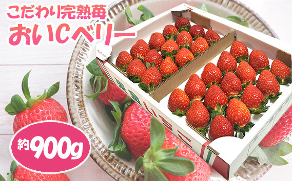 
No.154 こだわり完熟苺（おいCベリー）900g ／ イチゴ いちご 果物 千葉県

