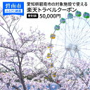 【ふるさと納税】愛知県碧南市の対象施設で使える楽天トラベルクーポン 寄付額50,000円 ホテル 旅館 宿泊予約 旅行 予約 宿泊 連泊 観光 国内 旅行クーポン 宿泊券 旅行券 チケット 春 夏 秋 冬 ビジネス