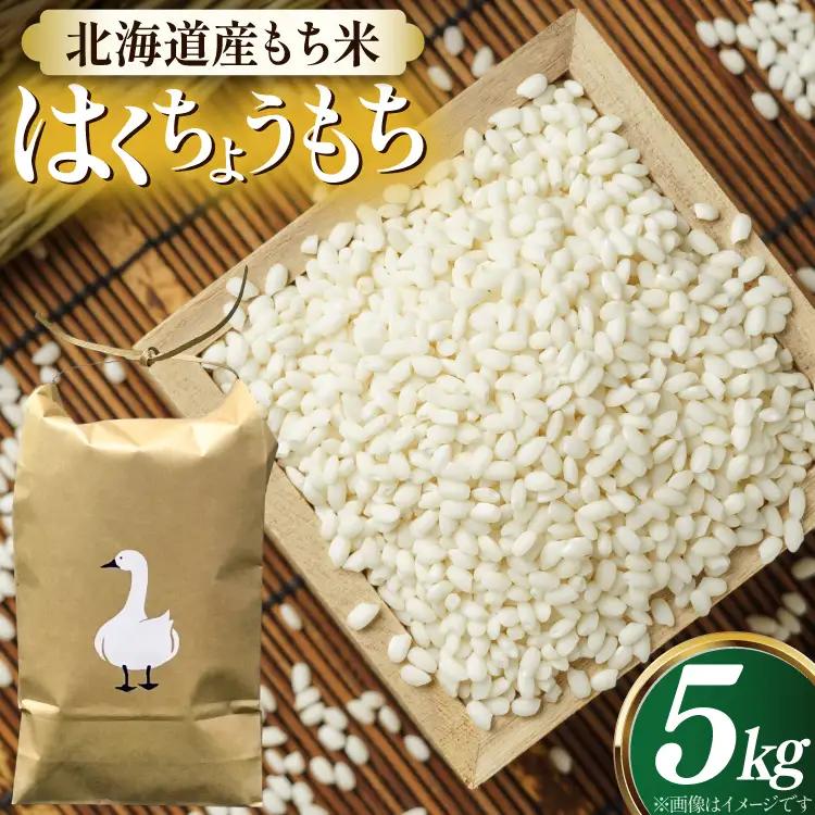 米 もち米 新米 令和8年産 北海道産 はくちょうもち 5kg