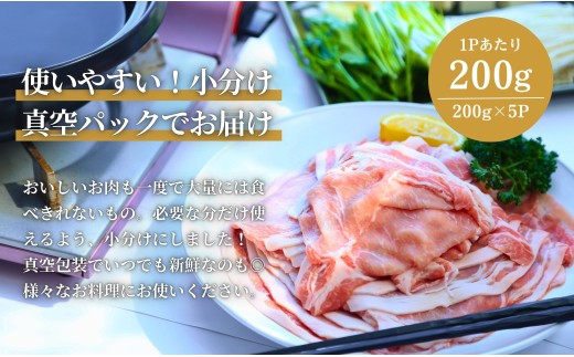 【6回定期便 総計6.0kg！真空個包装で便利】ありたぶた ロー