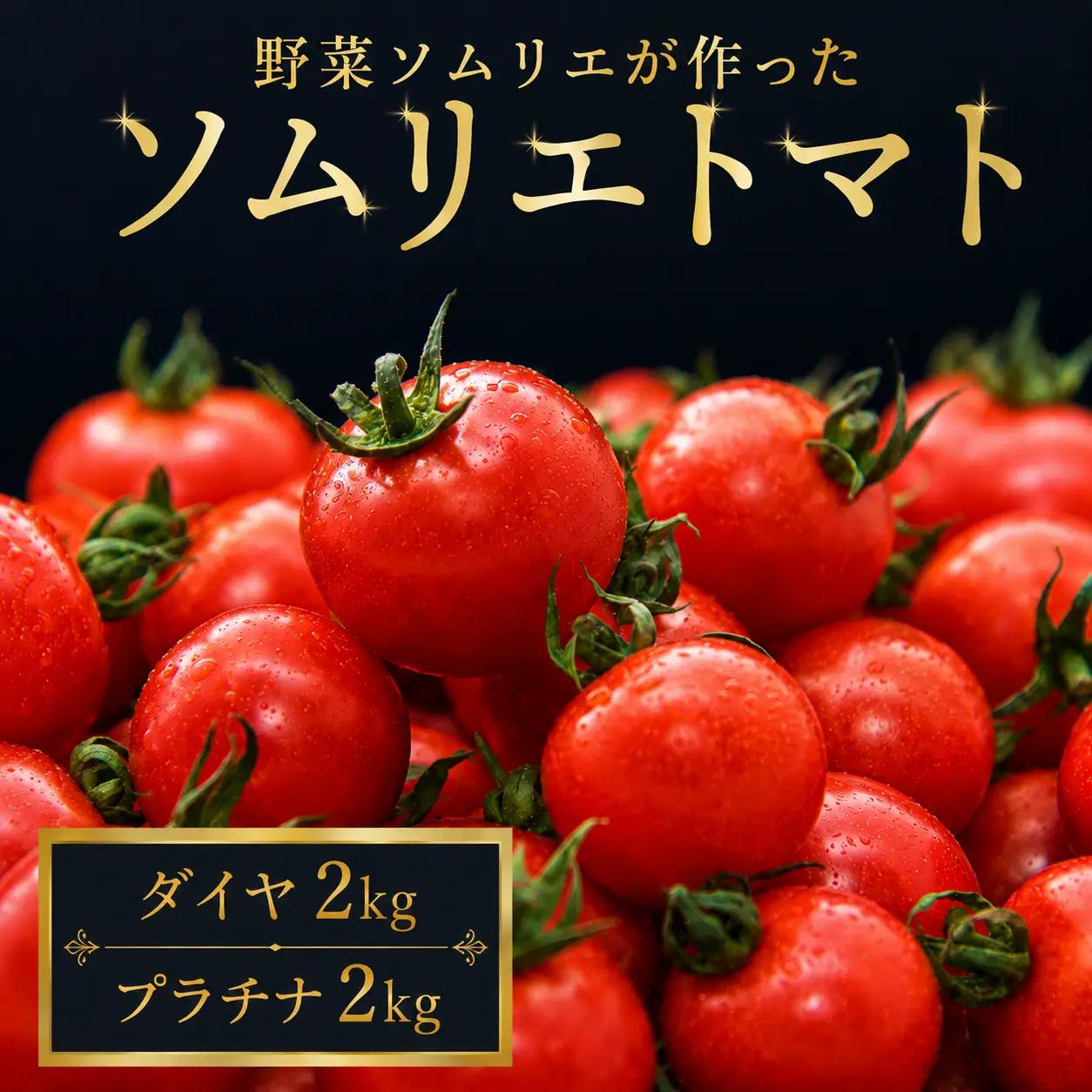 ミニトマト 食べ比べ4kg (プラチナ＆ダイヤ)
