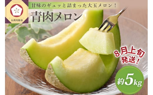 【2026年8月上旬発送】津軽産青肉メロンご家庭用約5kg3～6玉【青森メロン】