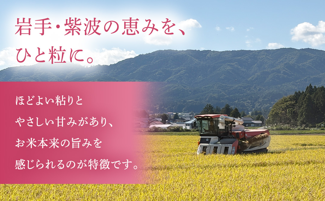 【 新米 】 令和8年産 ひとめぼれ 5kg 精米 こめ コメ お米 おこめ ライス 白米 ご飯 ごはん 米 岩手県 紫波町産 5キロ 国産米 [AO006]