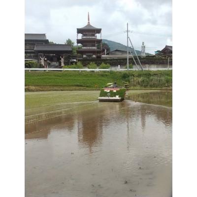 ふるさと納税 石岡市 【令和7年産】獅子米 あきたこまち 精米10kg |  | 01