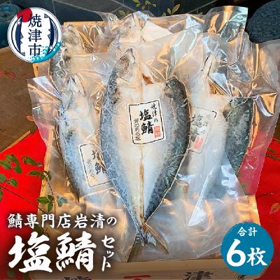 ふるさと納税 焼津市 「塩鯖6枚セット」国産　さば　塩サバ　真空　個包装　贈答(a17-123)