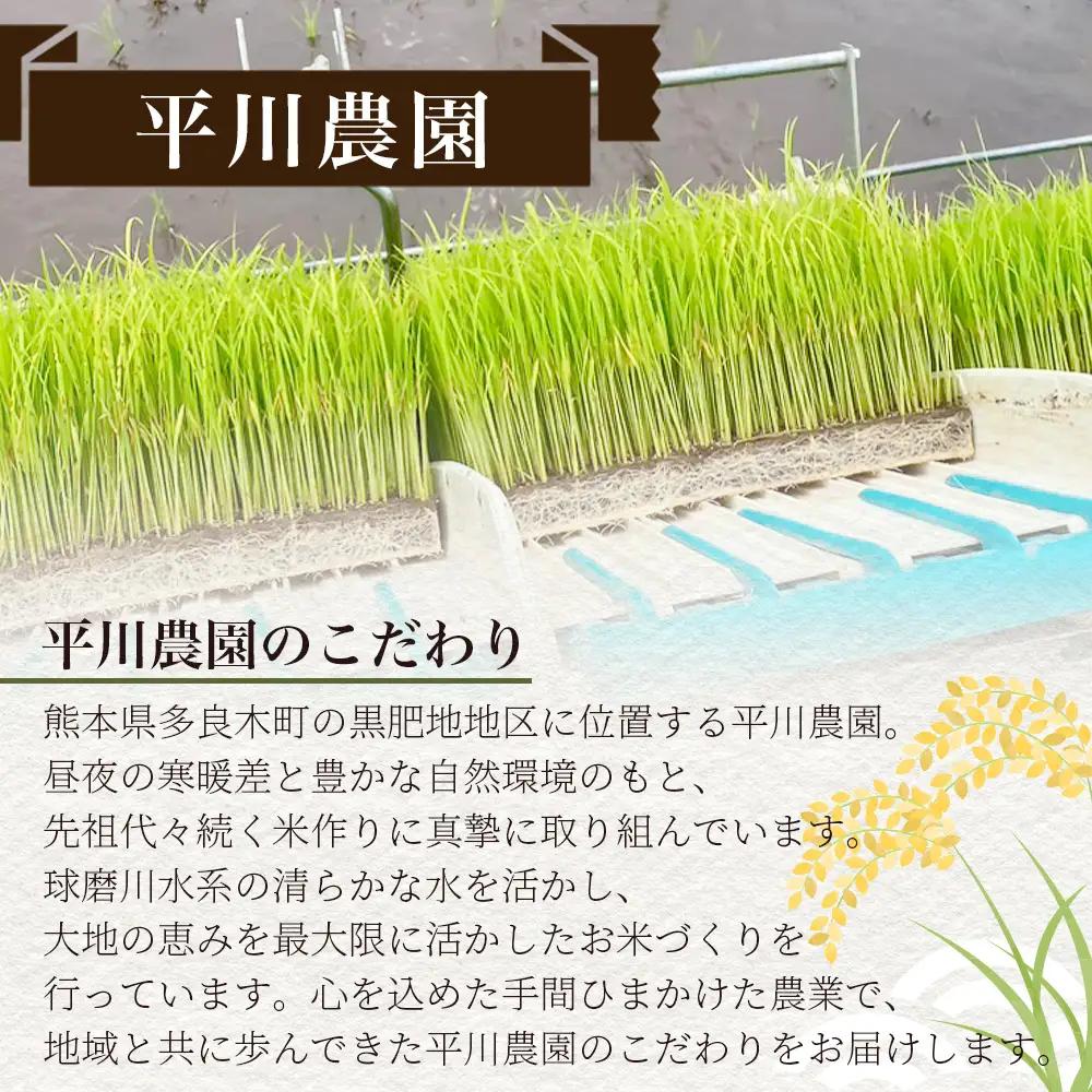 令和8年産 新米 くまさんの輝き 5kg (令和8年10月中旬～発送) 精米・玄米選べる 熊本県産 お米 107-0701