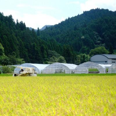 ふるさと納税 曽爾村 【2025年(特別栽培米)】曽爾村ブランド米(コシヒカリ) 5kg(白米) |  | 02