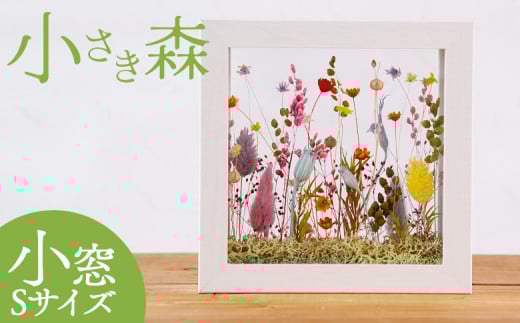 ＜小さき森 小窓 1個＞翌月末迄に順次出荷【 選べる サイズ 大きさ インテリア 雑貨 ドライフラワー プリザードフラワー 木枠 おしゃれ 癒し ハンドメイド 手作り かわいい 贈物 プレゼント ル ペパン Le pépin 宮崎県 国富町 常温 】