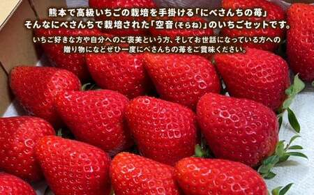 にべさんちの苺 熊本県産イチゴ空音(そらね)極み 【2025年1月下旬発送開始】