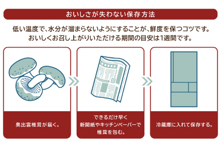 「奥出雲椎茸」秀品 箱入 2kg 【椎茸 生しいたけ 2kg 肉厚 収穫直後 サイズ混合 新鮮 旨味たっぷり 菌床栽培 国産 きのこ キノコ 野菜 料理 食品 産地直送 自宅用】