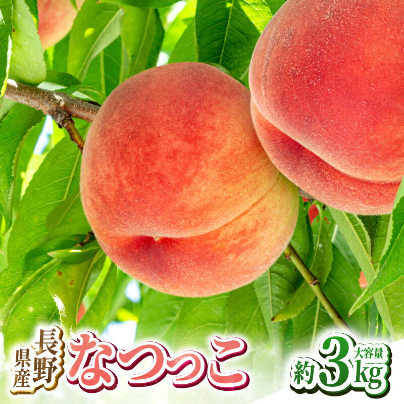 【ふるさと納税】長野県産 桃 なつっこ 約3kg【2026年8月発送】 | 果物 くだもの フルーツ 桃 もも なつっこ 長野県 信州 南信州 飯田市
