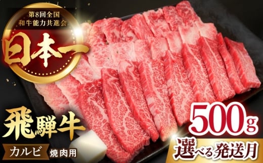 【5月発送】【飛騨牛】 カルビ (焼肉用) 500g  国産 ブランド牛 和牛 多治見市 / 肉のひぐち [TDC001-5]