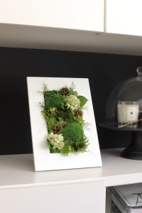 プリザーブドフラワー フォレスト ホワイト