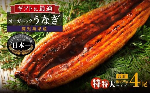 
            【数量限定】泰正オーガニックうなぎ蒲焼　特特大4尾合計800g以上
          