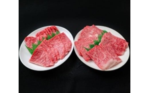 神戸ビーフ A5 希少部位4種盛り 600g ロース・カルビ・霜降り・赤身 各150g 丹波市産 兵庫県 神戸牛 神戸肉