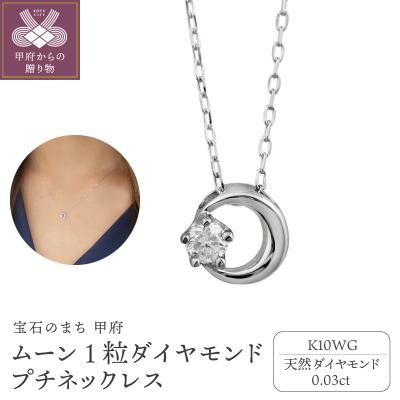 ふるさと納税 甲府市 【K10WG】1粒 ダイヤモンド ムーン プチネックレス　J-512