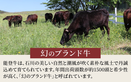 能登牛 特選 しゃぶしゃぶ用（肩またはモモ）450g | 牛肉 ブランド牛
