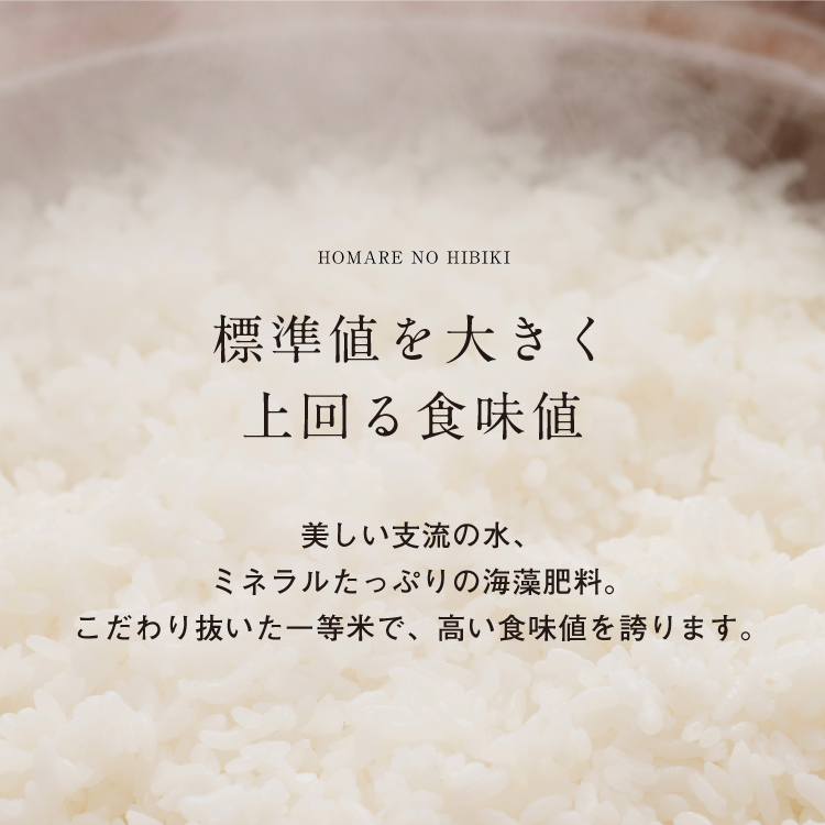 【優栽】【新米・予約】【令和6年産】（白米 ※精米済 10kg）優栽：特別栽培米