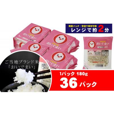 ふるさと納税 観音寺市 【讃岐ご当地ブランド米】おいでまい　無菌パックご飯180g×36個セット(KA-68F)備蓄 小分け