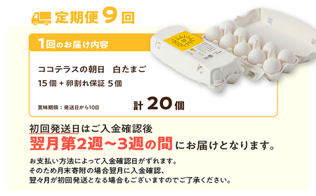 【9ヵ月定期便】ココテラスの朝日（白たまご）15個 + 5個保証（計20個）