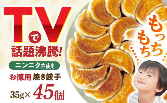 
            大容量 焼き餃子 45ヶ / ギョウザ ぎょうざ 餃子 焼餃子 冷凍 / 諫早市 / 餃子のかわしも [AHBM003]
          
