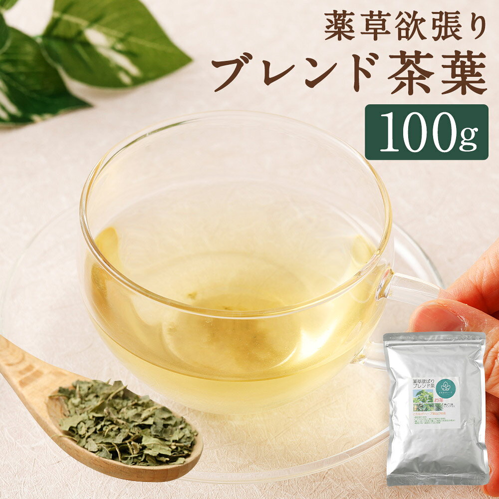 【ふるさと納税】【14営業日以内発送】薬草欲張りブレンド茶葉 100g×1袋 桑の葉 柿の葉 ビワの葉 くわ クワ かき カキ びわ 枇杷 レモングラス 薬用植物 健康茶 薬草茶 ハーブティー お茶 健康 美容 長崎県産 国産 九州 長崎県 長崎市 送料無料