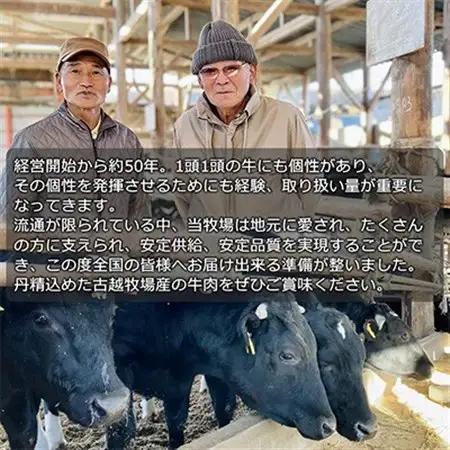 【毎月定期便】【牛肉カレー用】信州蓼科牛の厳選部位 おまかせ 600g(300g×2パック)全3回【配送不可地域：離島】【4078074】