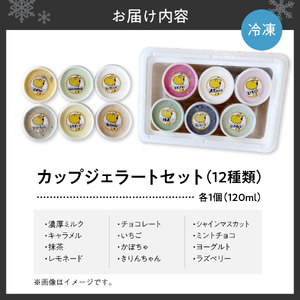 カップジェラートセット（12種類）