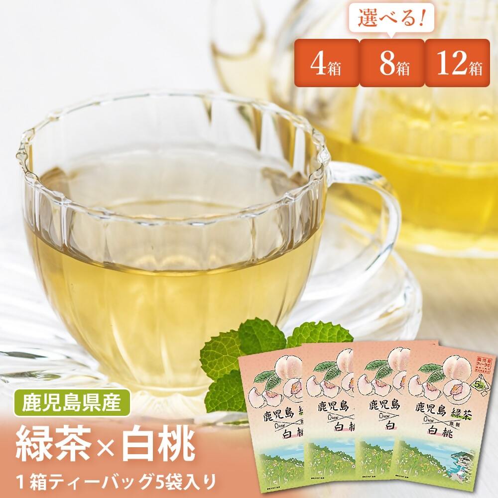 【ふるさと納税】鹿児島茶フレーバーティー【緑茶】白桃4～12箱 ZS-514 AS-081 AS-348 お茶 茶 フレーバー ティー フレーバーティー 白桃 もも モモ 緑茶 ティーバッグ 鹿児島茶 鹿児島県産 鹿児島県 薩摩川内市 送料無料