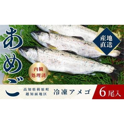 ふるさと納税 梼原町 四万十川源流域の清流で育ったゆすはらアメゴ(6匹入り)