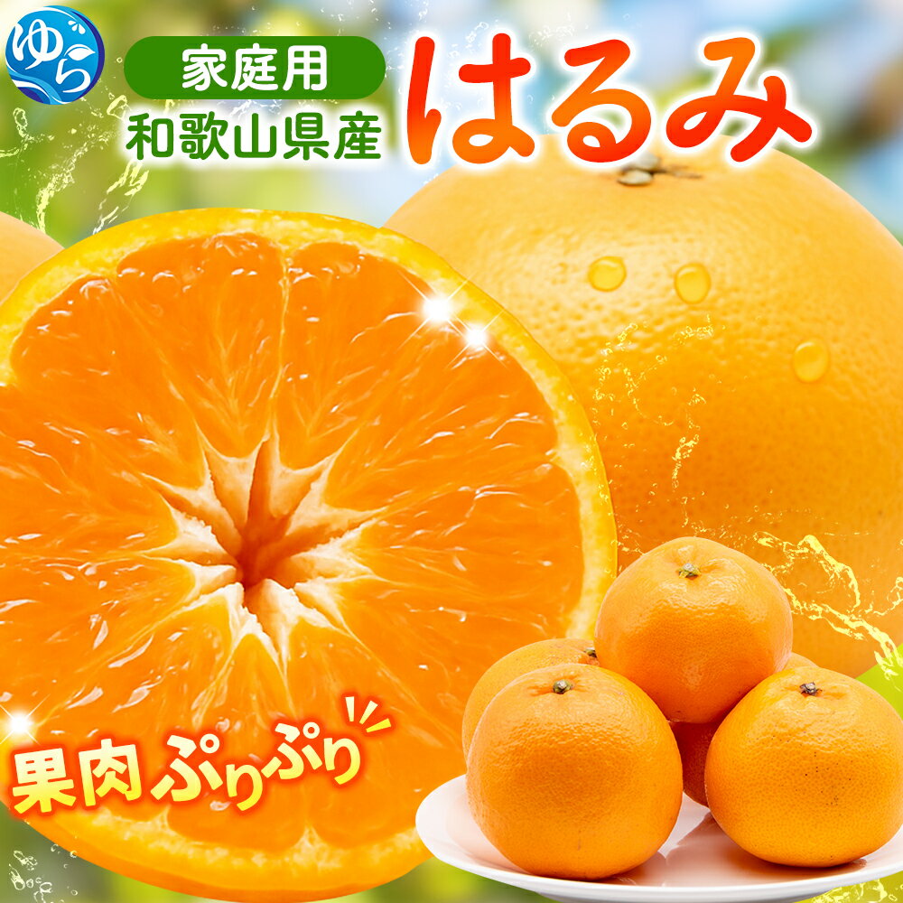 【ふるさと納税】 はるみ みかん 家庭用 / 訳あり 柑橘 晩柑 和歌山 甘い 5000円 / 1kg 2.5kg 5kg 7.5kg 10kg ※2026年2月上旬〜3月下旬ごろに順次発送予定 ※北海道・沖縄・離島への配送不可